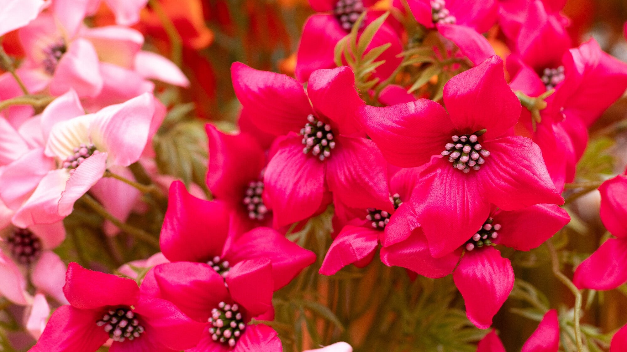 test 2