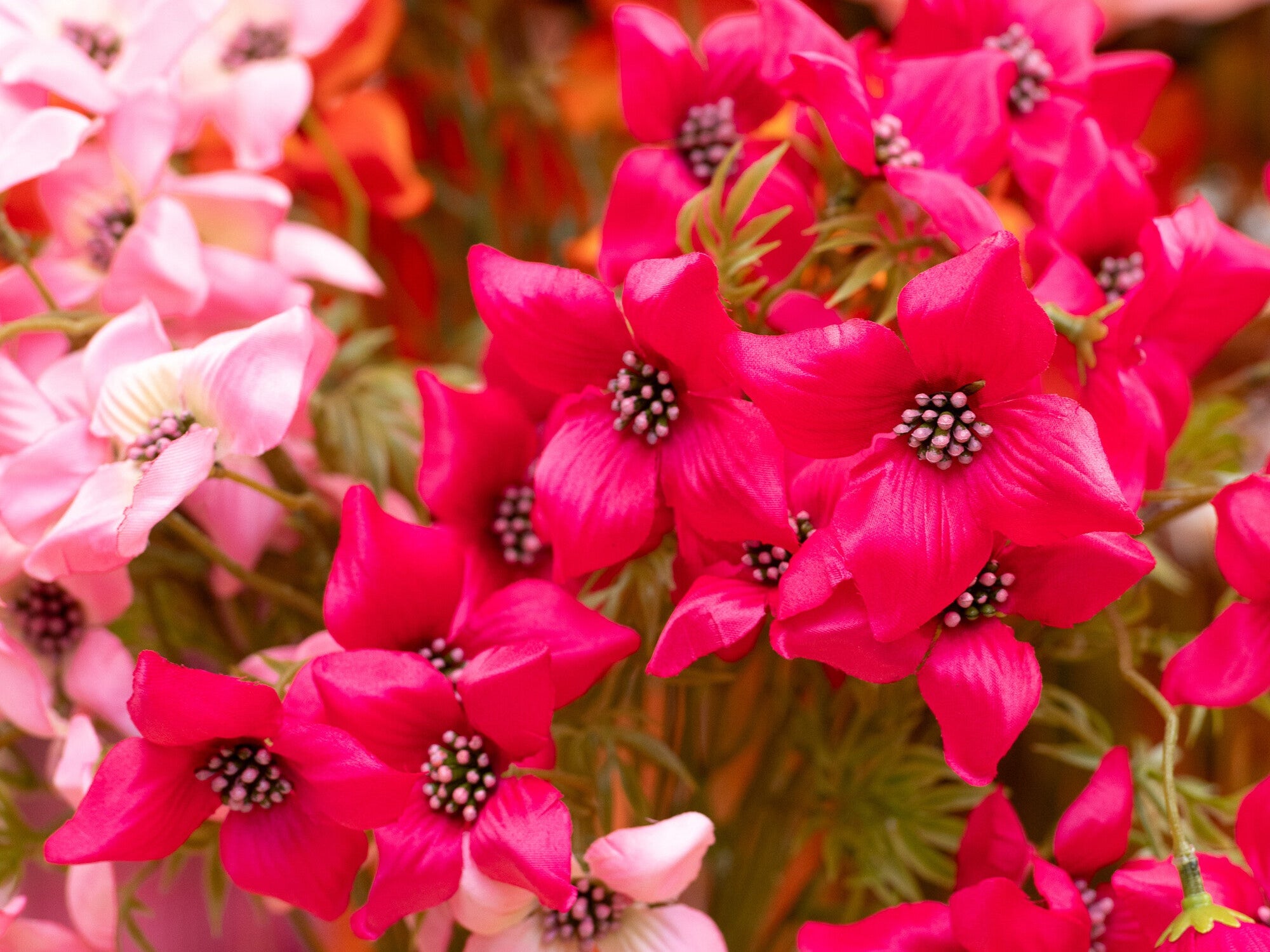 test 2