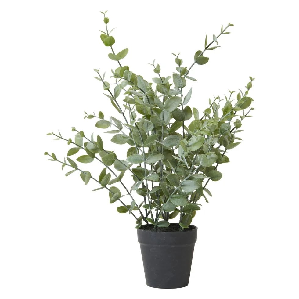 Eucalyptus í potti - gervi