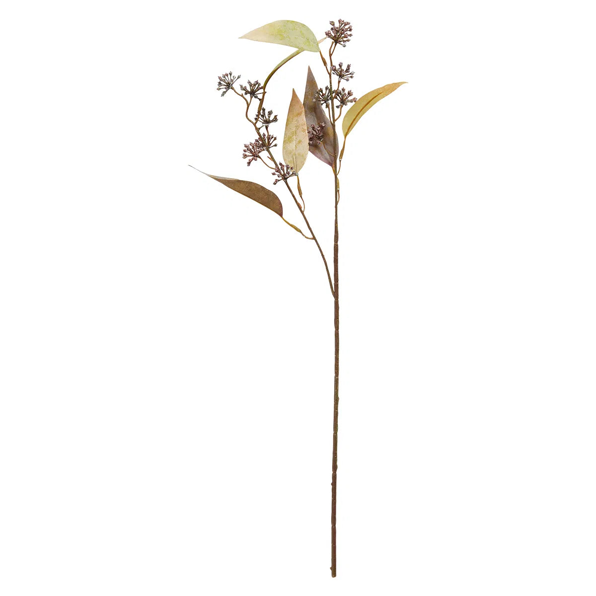 Eucalyptus grein gul - gervi
