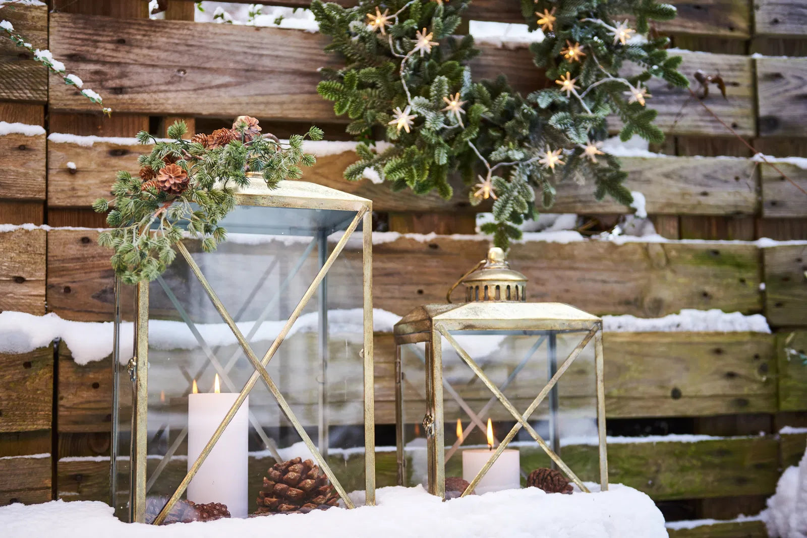 Gyllt ljósker - stórt