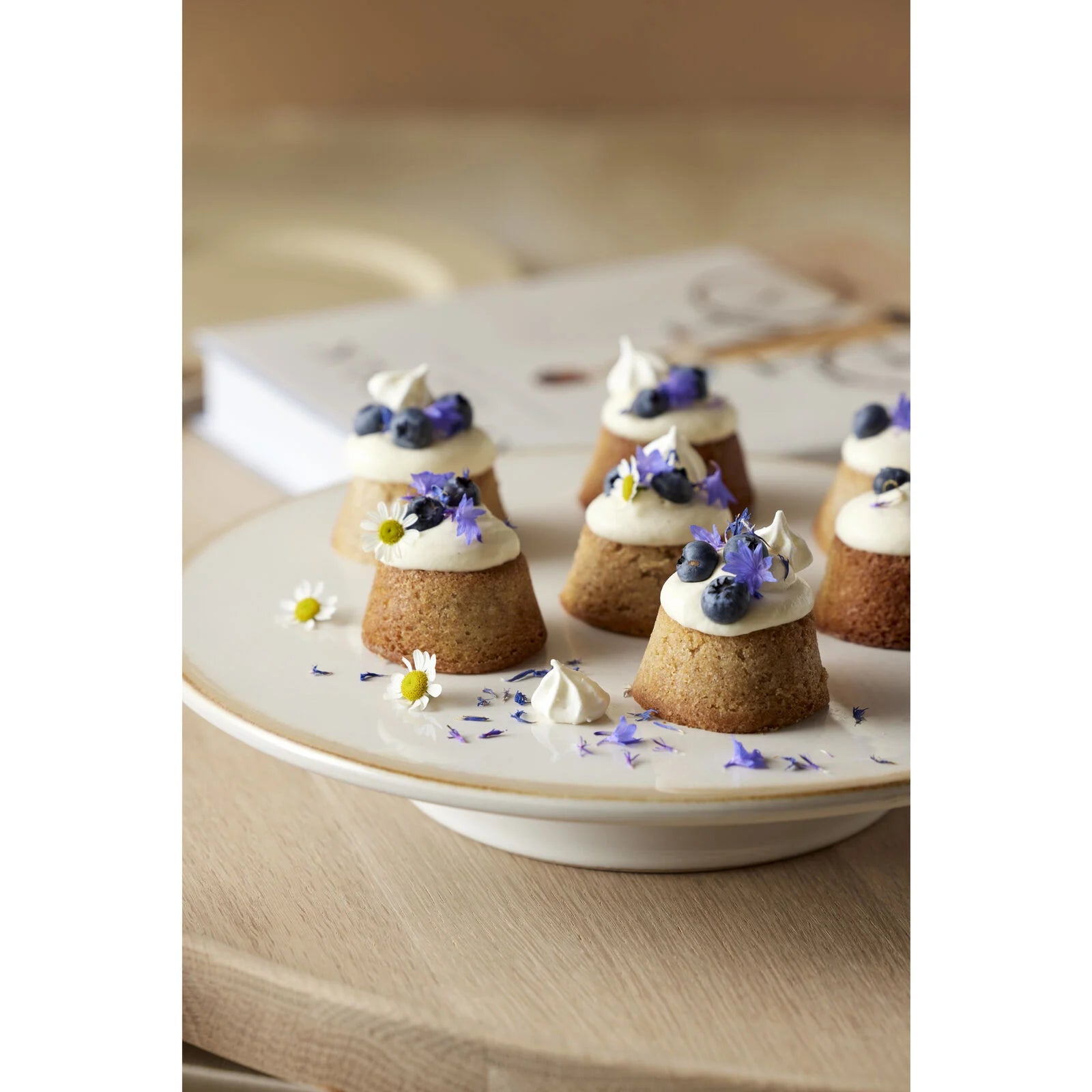 Gastro kökudiskur - cream