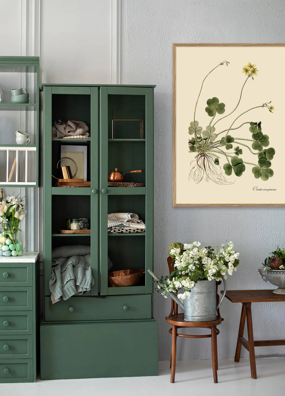 Oxalis Compressa - 30x40