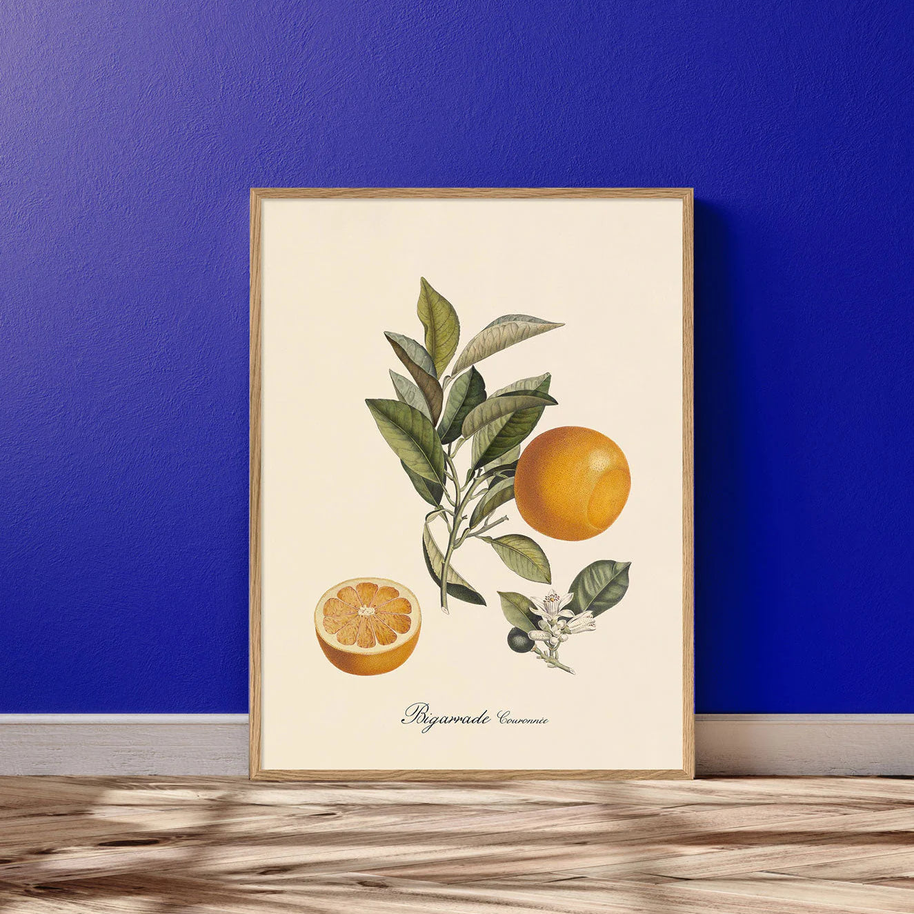 Bigarrade Couronnée - tvær stærðir