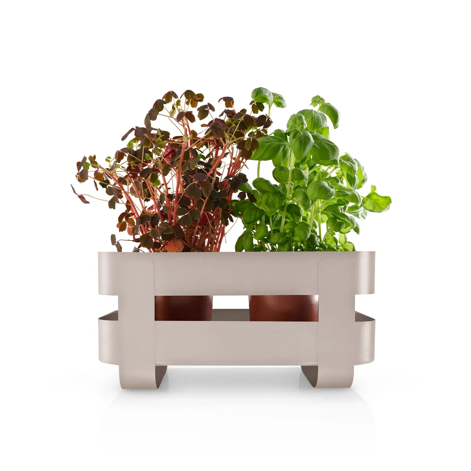 Sjálfvökvandi kryddjurtakassi - sand