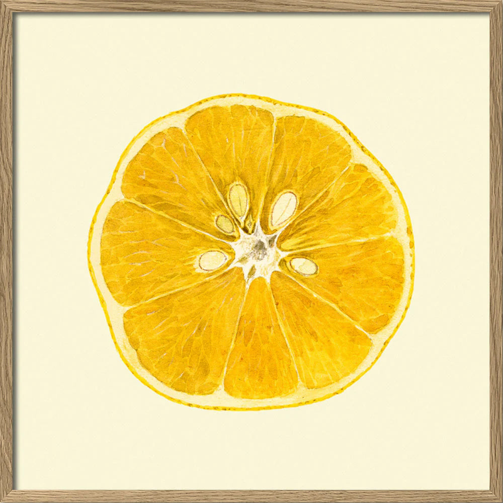 Lemon open í eikarramma- 15x15 cm