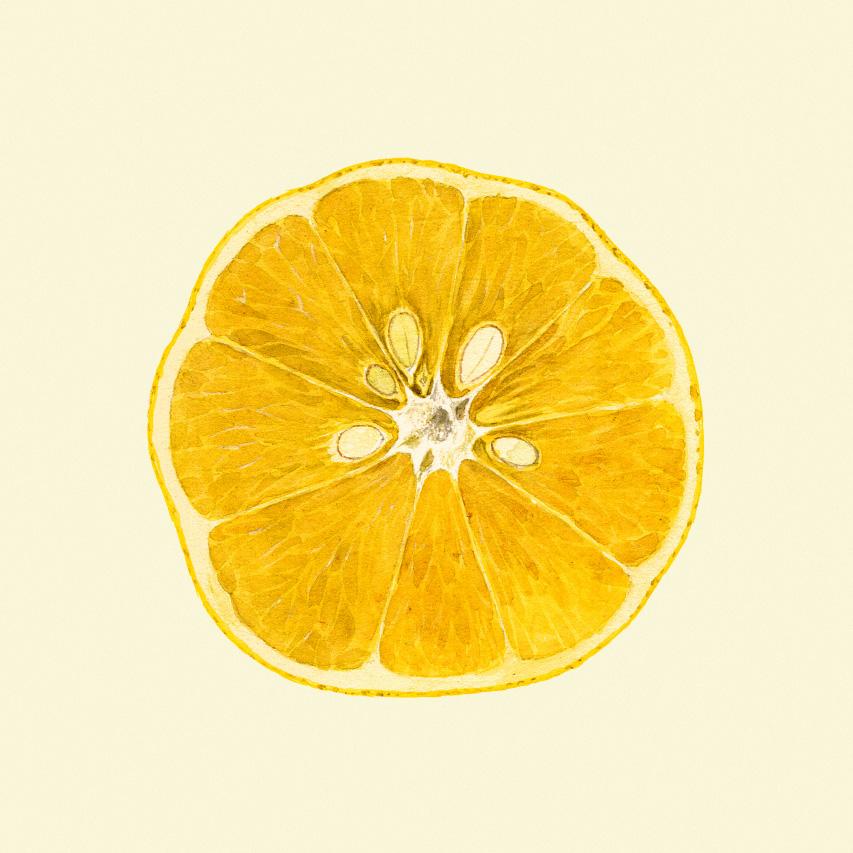 Lemon open í eikarramma- 15x15 cm