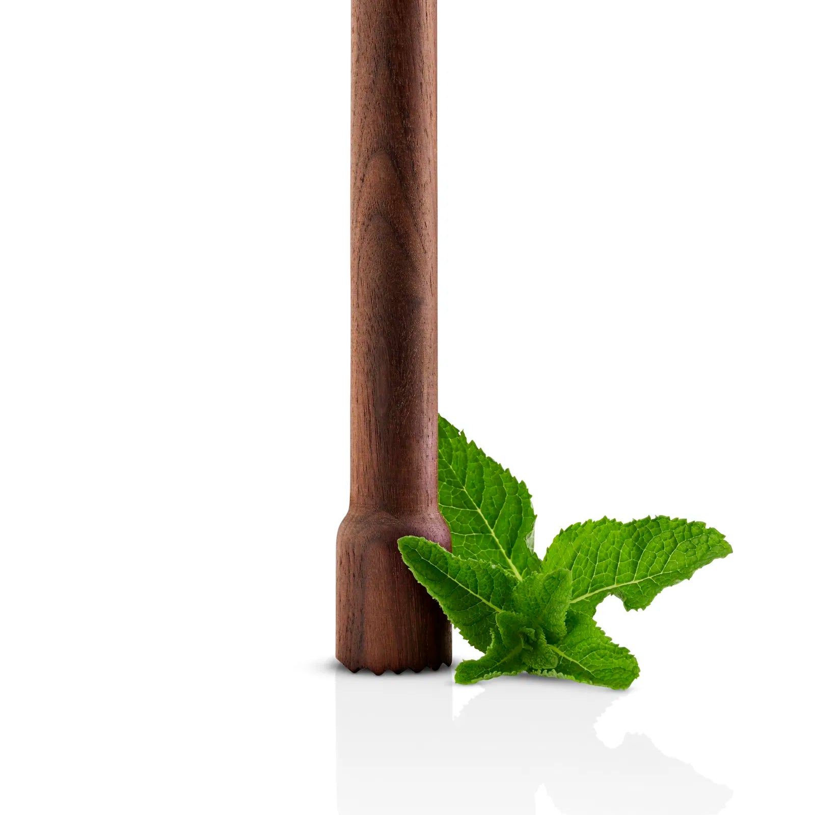 Liquid Lounge - merjari