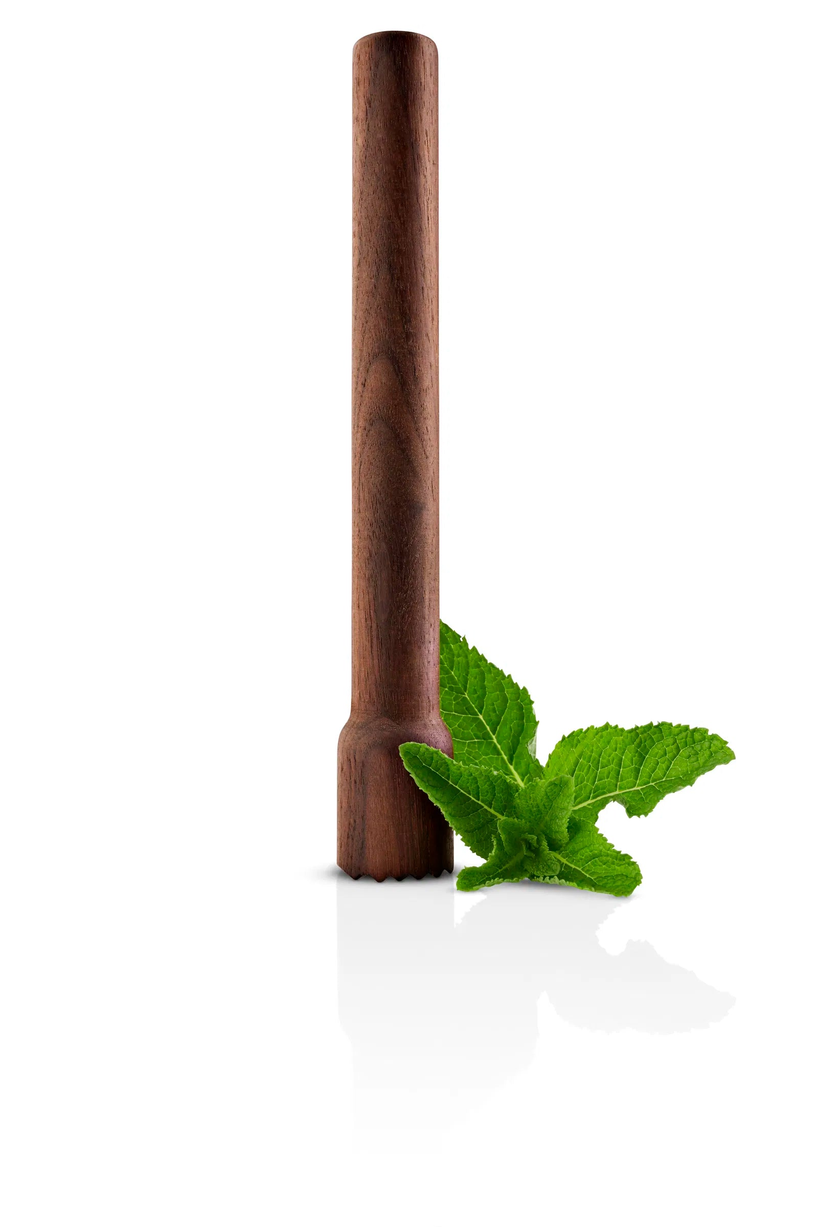 Liquid Lounge - merjari