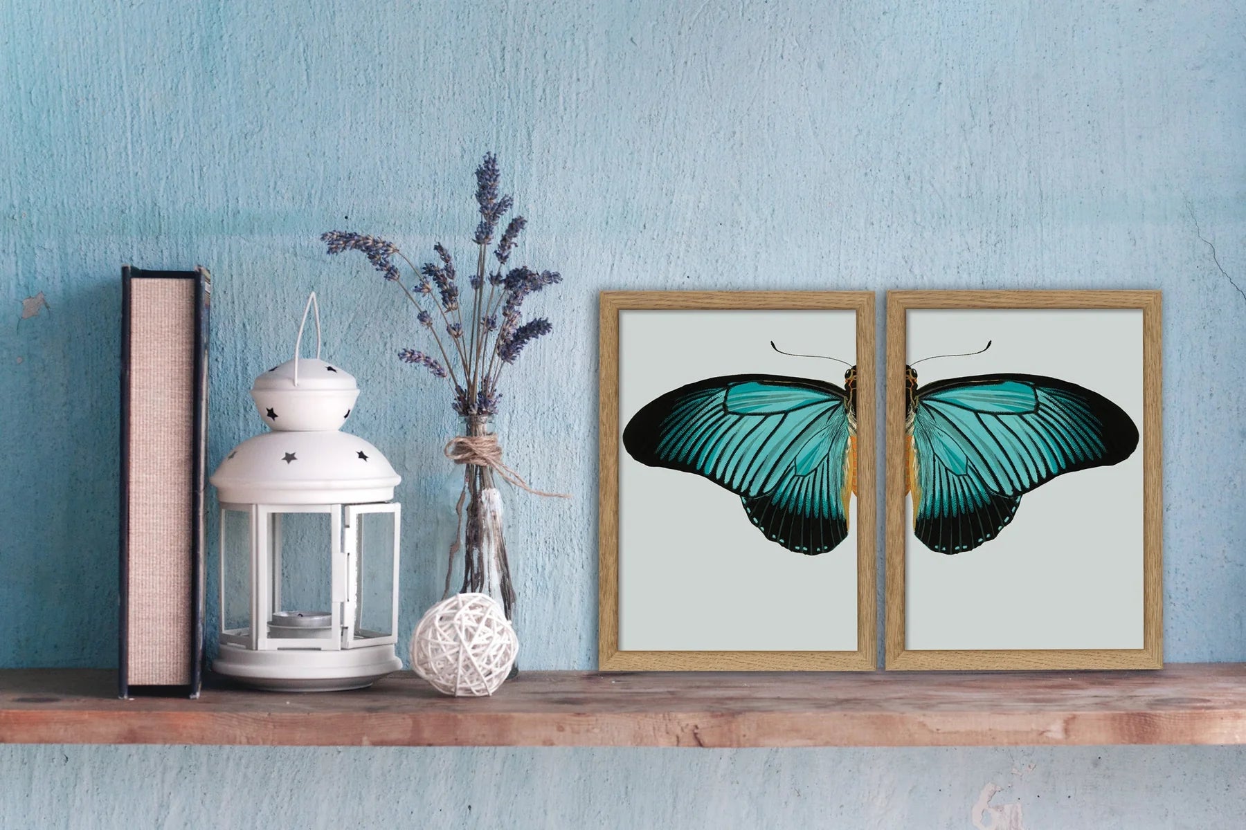 Blue Butterfly vinstri í eikarramma - 15x21 cm