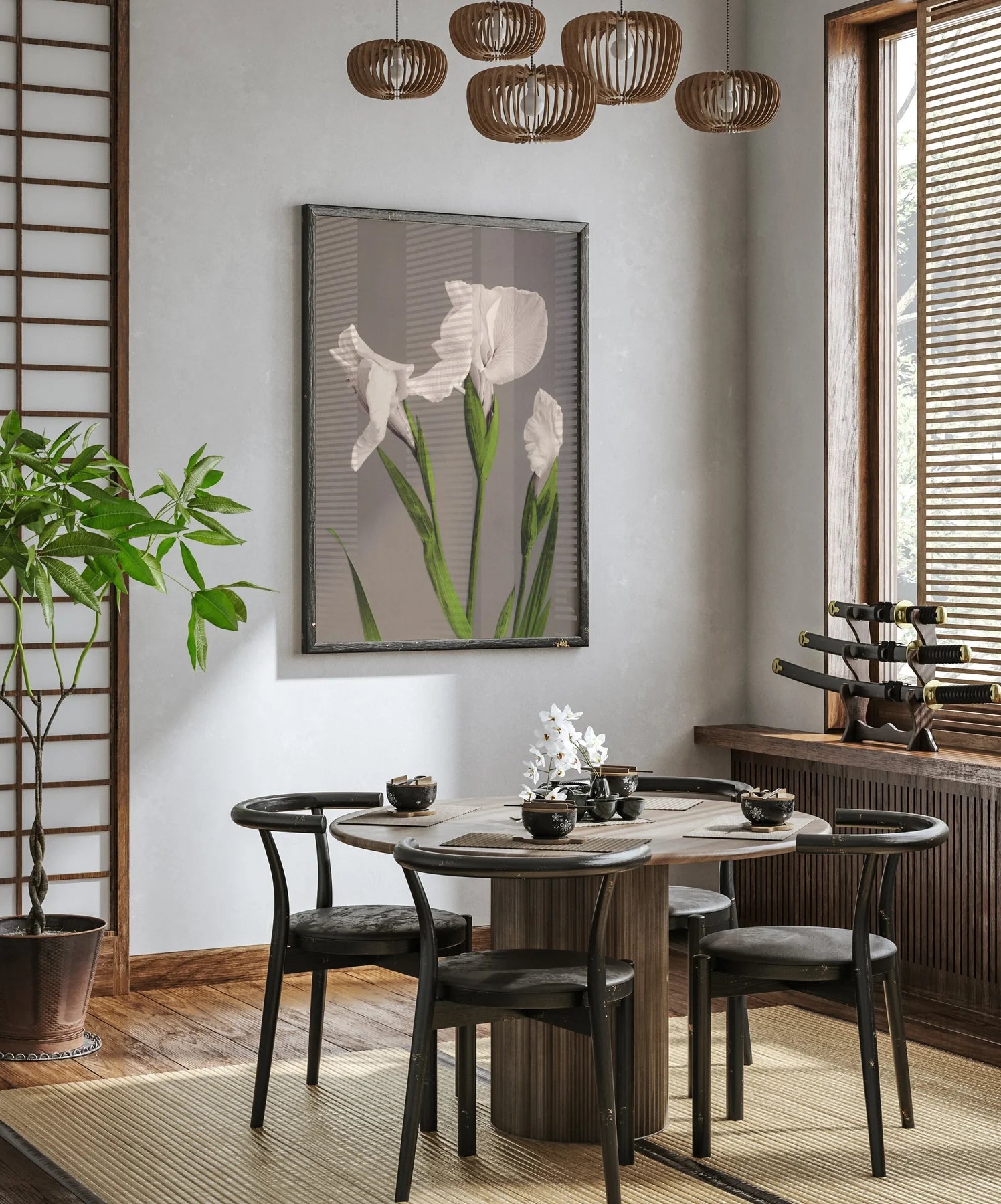 Iris Kæmpferi - tvær stærðir