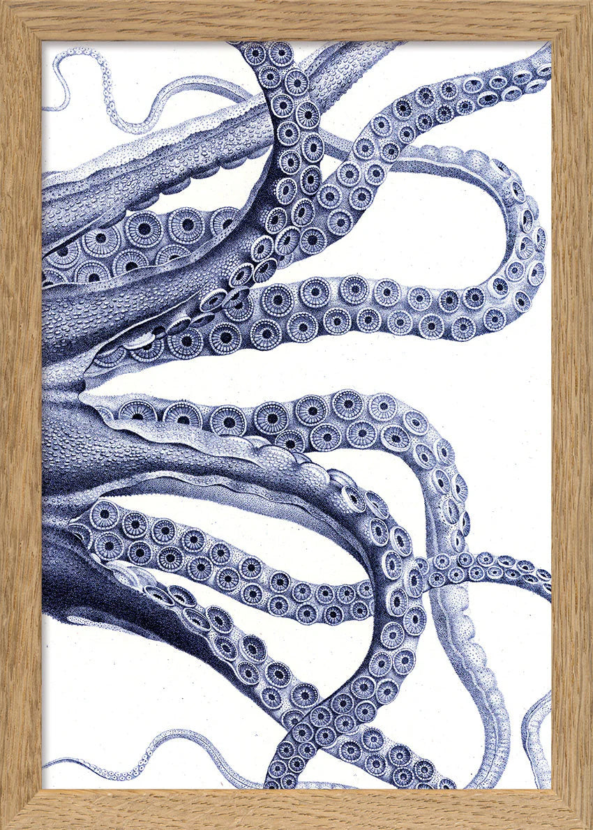 Octopus - detail I. - tvær stærðir