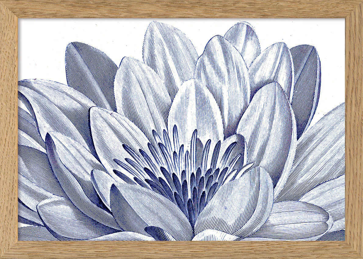 White Lily - detail I. - tvær stærðir