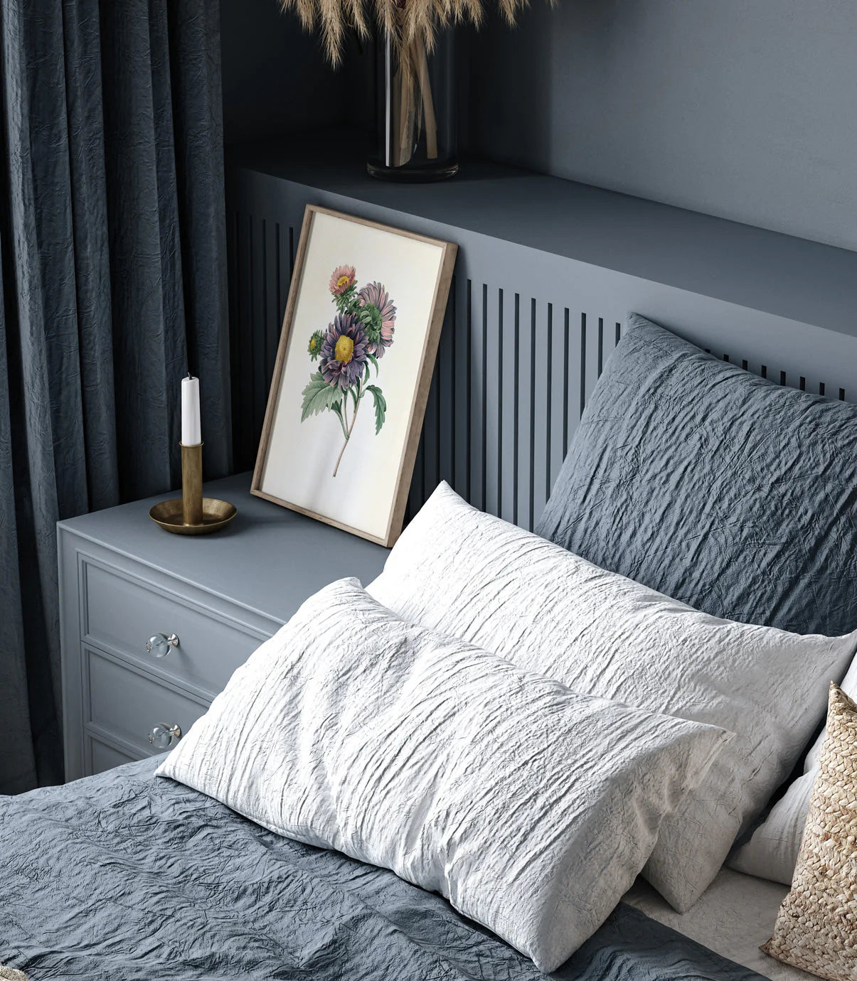 Aster Chinensis - tvær stærðir