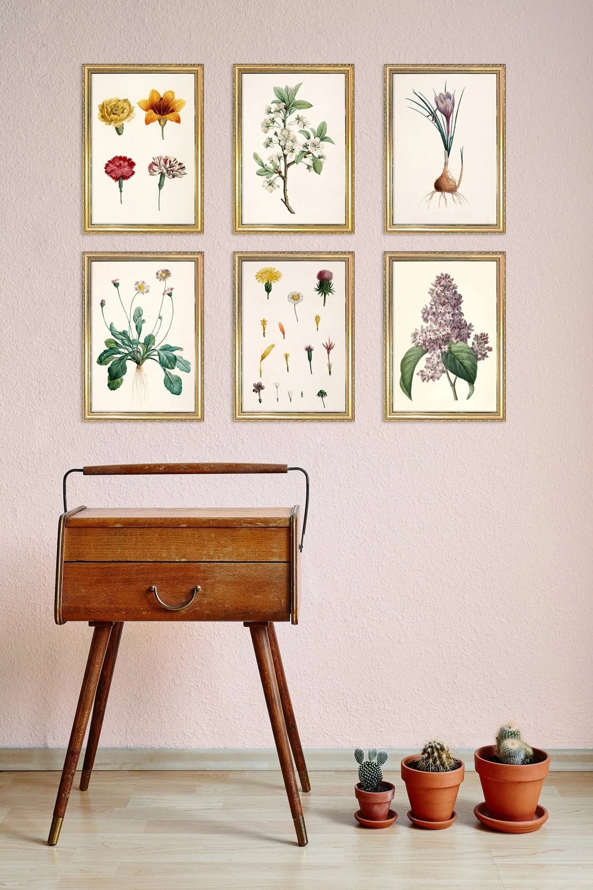 Crocus Sativus - 15x21 cm