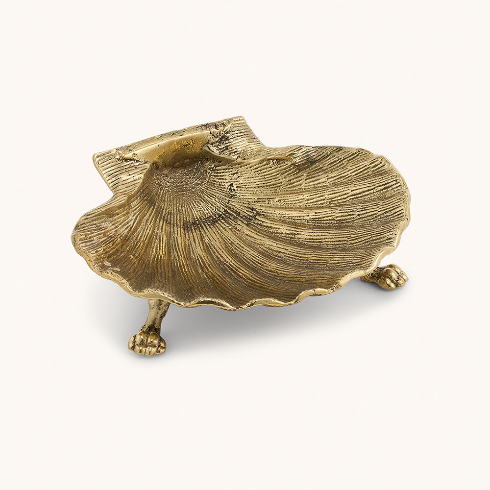 Scarlett Shell diskur stór