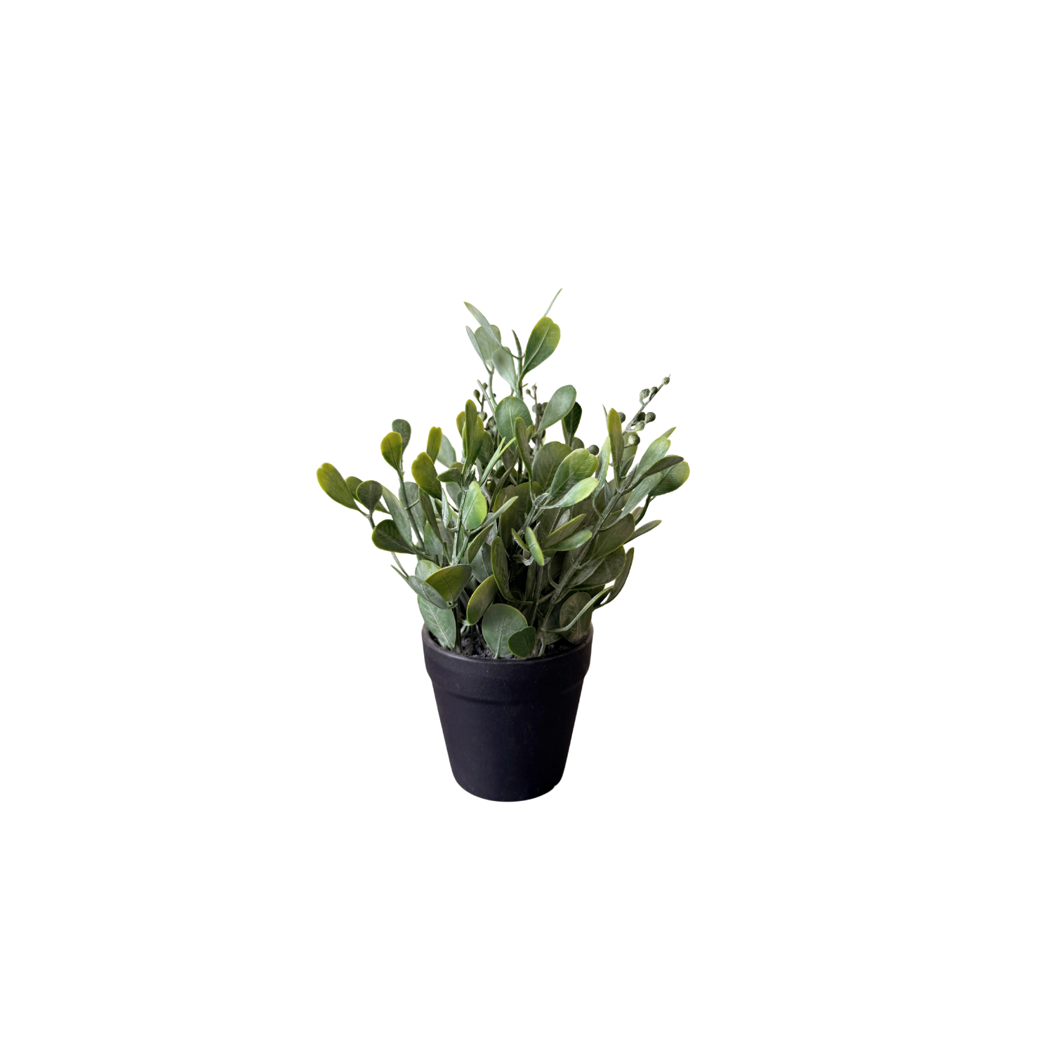 Pottaplanta - gervi