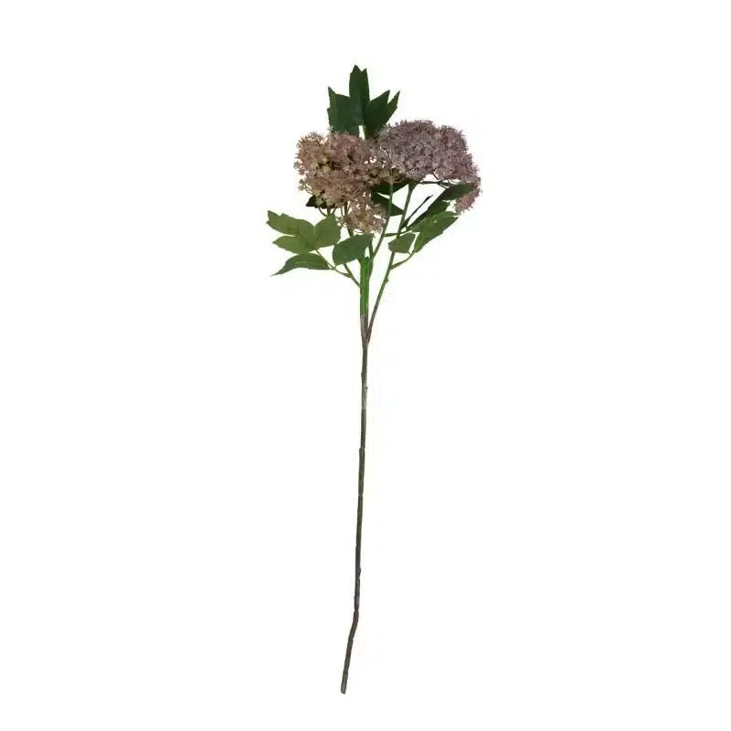 Hortensía lillablá - gervi