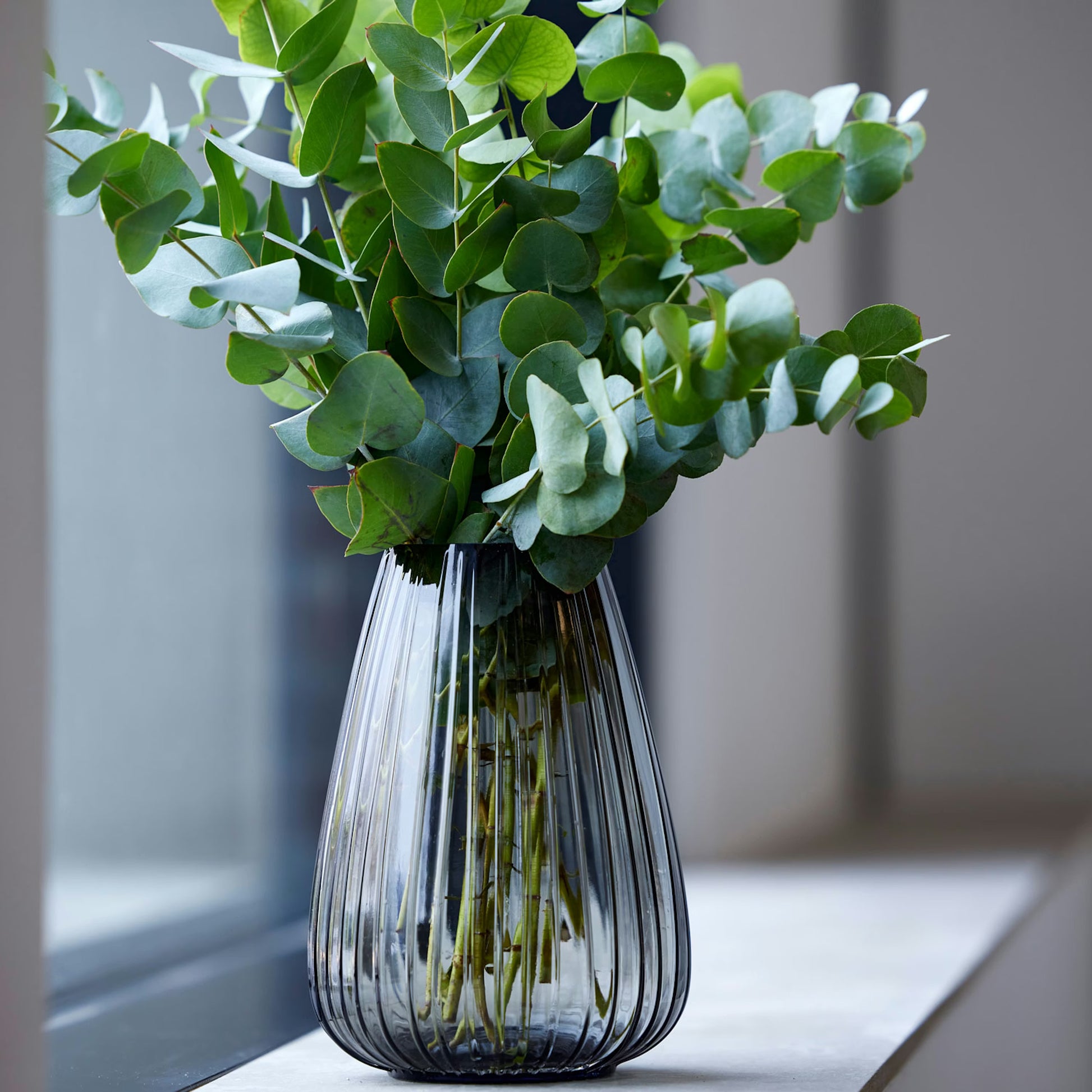 Kusintha vasi - ýmsir litir