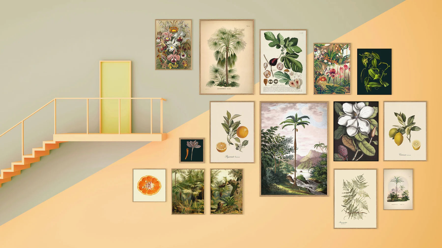 Bigarrade Couronnée - tvær stærðir