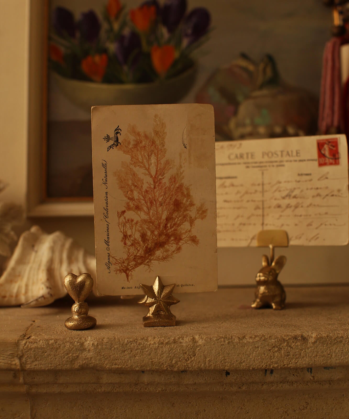 Holly Heart myndahaldari