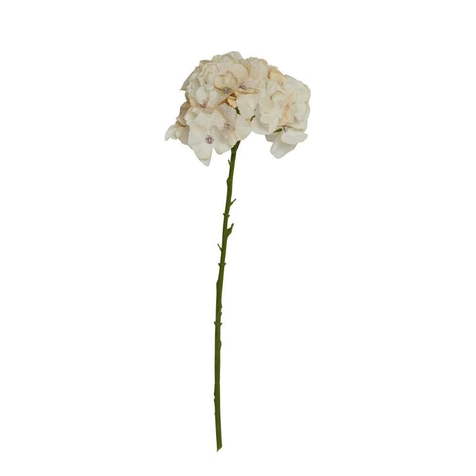 Hortensía beige - gervi