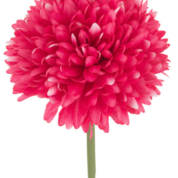 Chrysantheum bleikur - gervi