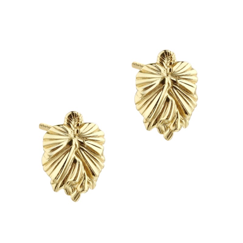 Koi eyrnalokkar lauf stórir - gullhúðaðir