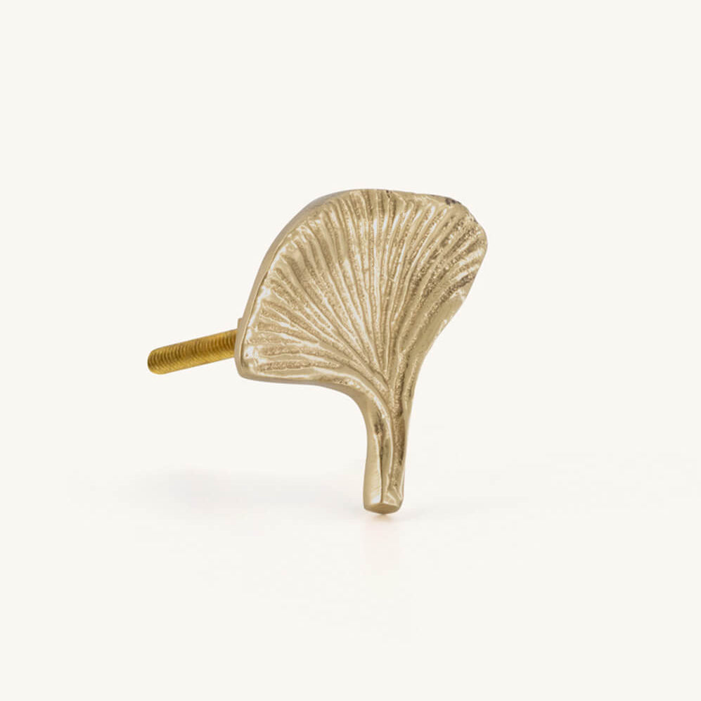 Flora ginko hnúður