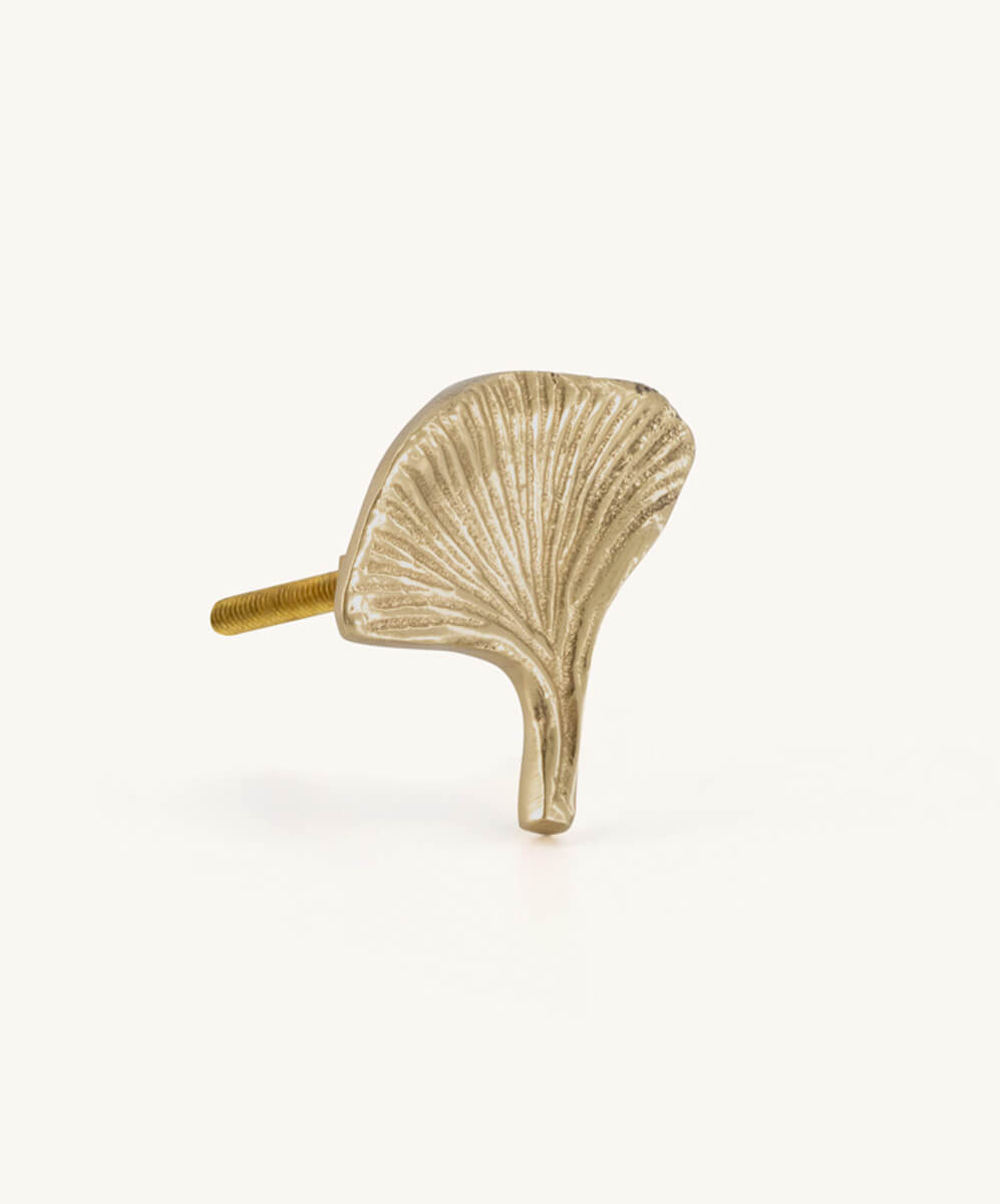 Flora ginko hnúður