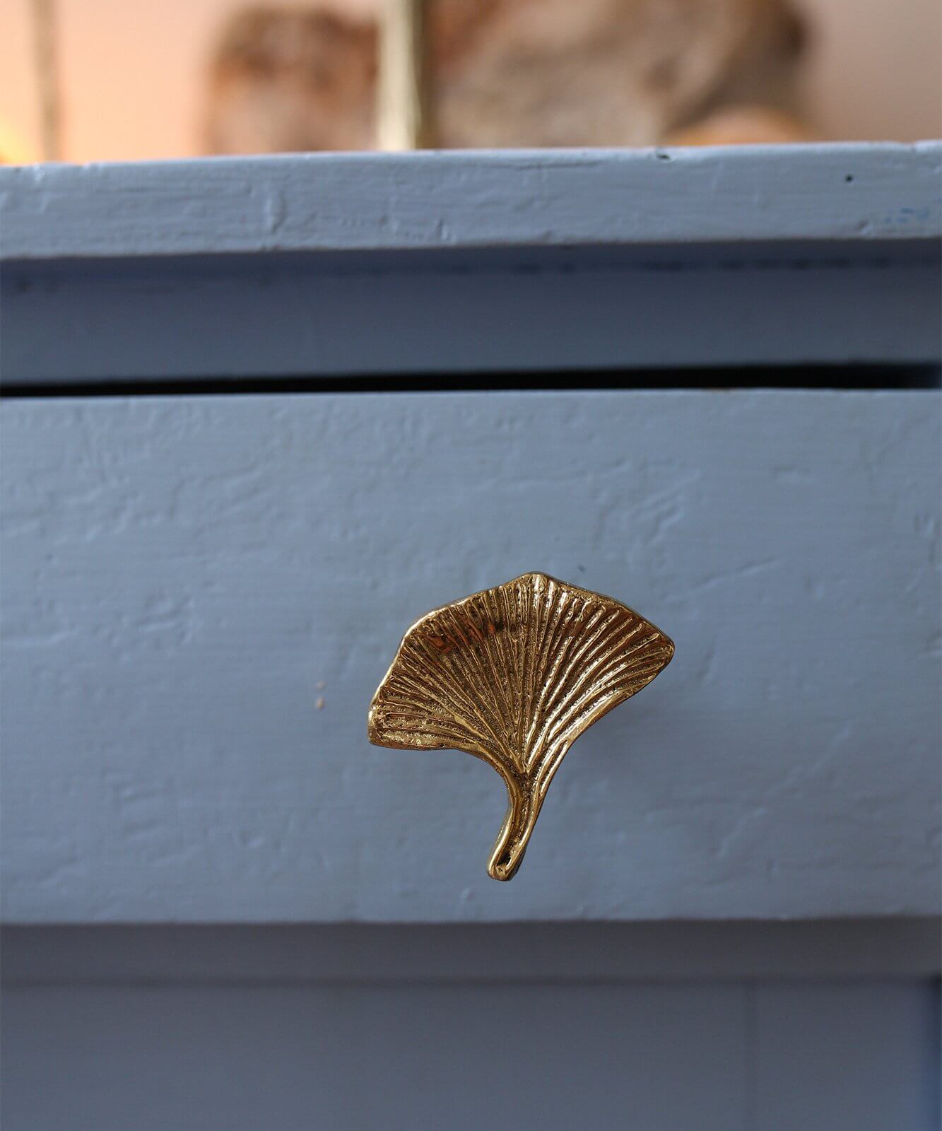 Flora ginko hnúður