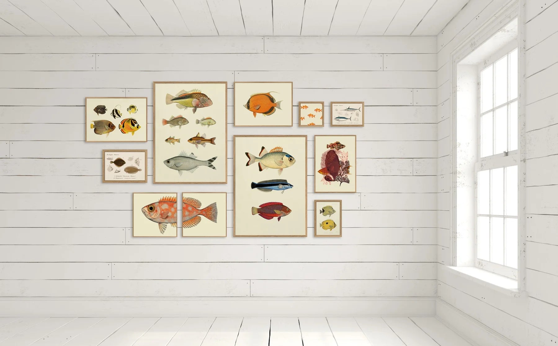 Small orange fish í eikarramma - 15x15 cm